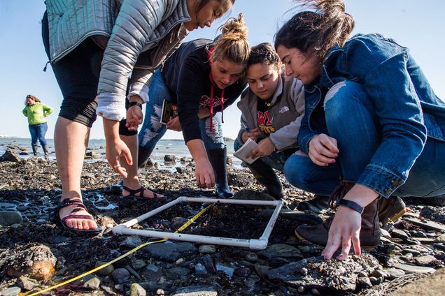 BUMP's Marine Urban Ecology students ample the intertidal in the Boston Harbor at Castle Island