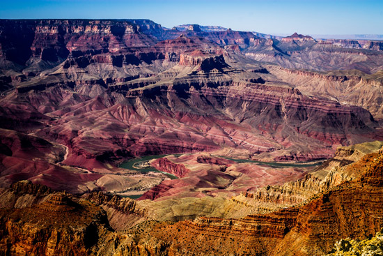Photo by Quinn Nietfeld on Unsplash