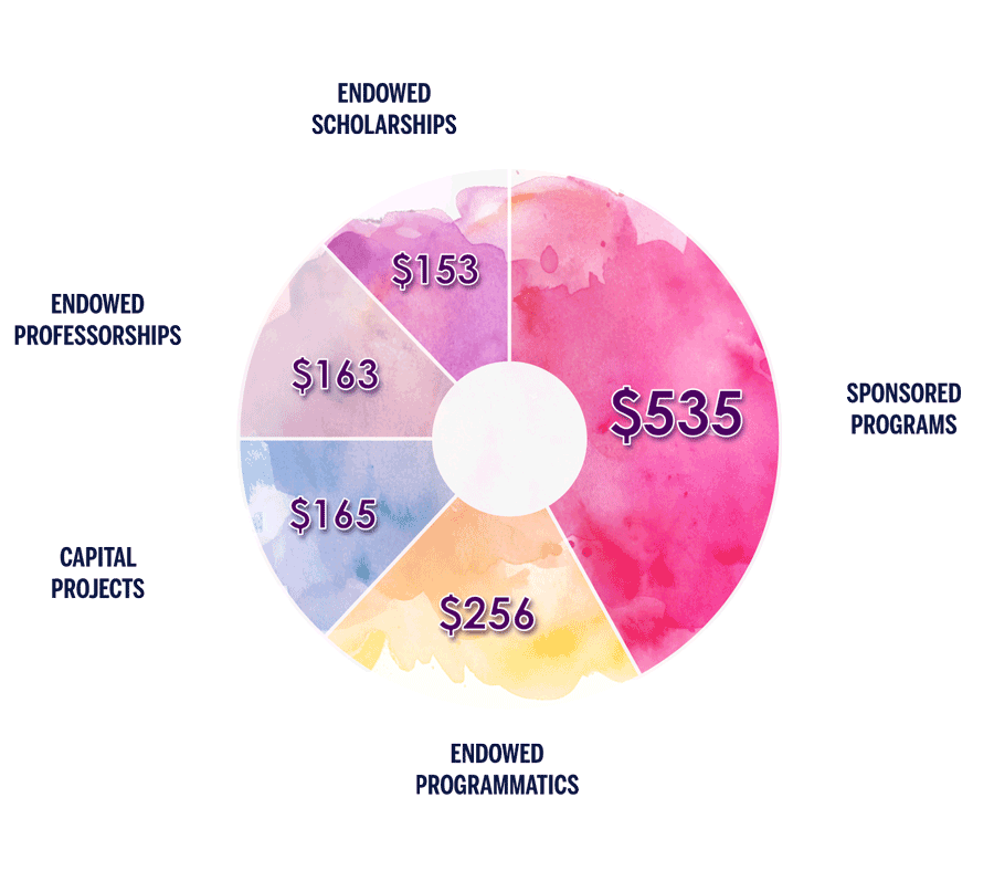 Distribution of campaign funds pie-chart: Sponsored Programs $535 million; Endowed Programmatics $256 million; Capital Projects $165 million; Endowed Professorships $163 million; Endowed Scholarships $153 million