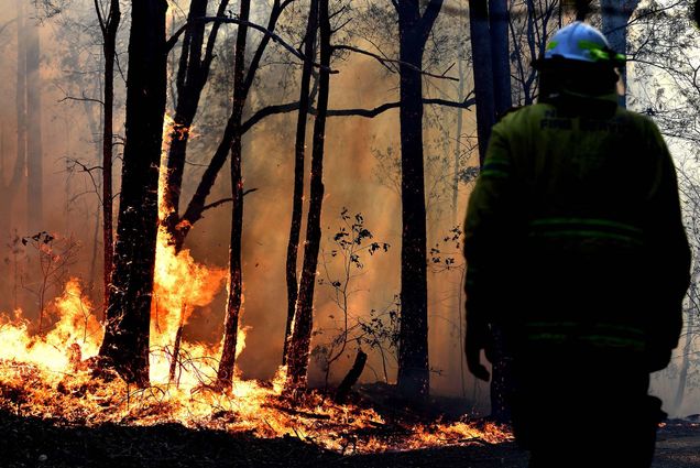 A firefighter watches wildfires burn a patch of forest in Australia.