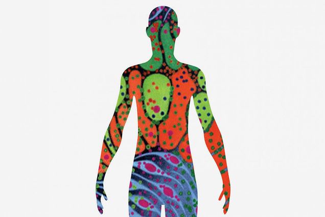 illustration of human body with various different types and colors of cells