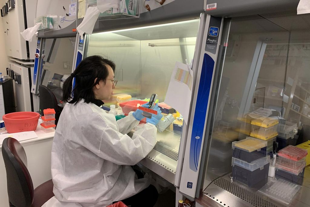 Working with a patient sample, CReM researcher Anthony Yeung performs PCR to search for SARS-CoV-2 RNA, genetic material unique to the novel coronavirus that would indicate a positive result for COVID-19 infection.
