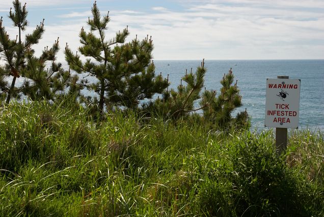 A photo of a sign that reads "Warning Tick Infested Area" near a beach