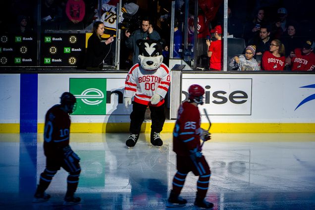 Photo of BU mascot Rhett the Terrier on the ice with the BU men’s hockey team during the 2020 Beanpot Tournament.