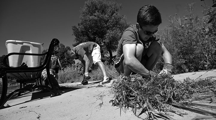 A photo of people completing community service work
