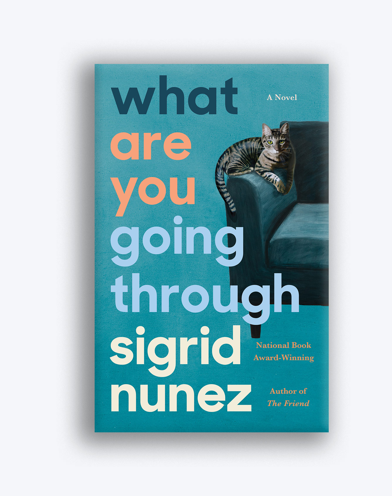 Book cover for Sigrid Nunez's work "what are you going through" The cover is teal and pictures a cat sitting on the arm of a couch.