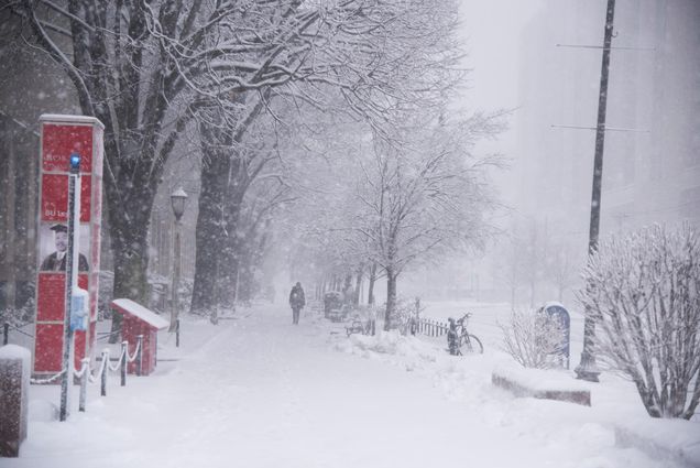 Photo taken during a Nor'Easter in 2018; the sidewalk is covered with snow as figure in jacket walks down. Snow falling blurs the image.