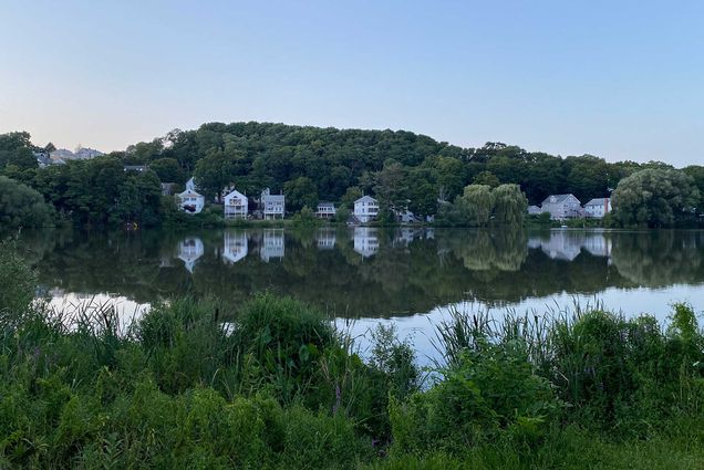 Photo of Chandler Pond taken at dusk; grass lines the pond's edge and white houses are seen in the distance.
