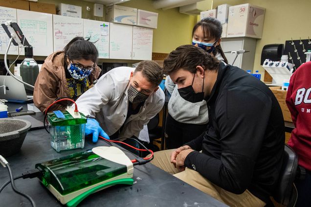Photo taken inside a classroom in which a lab is going on about separation of proteins involved in Alzheimer’s disease. Pamela Ruiz (CAS’23), from left, lecturer Kyle Gobrogge, Ph.D., Ashley Liu (CAS’24), and Will Marshall (SAR’22) take a closer look at gel electrophoresis western blot examining BACE and related protein fragments underlying neurodegenerative disease. The students and lecturer all wear masks, while the lecturer wears a white lab coat and blue gloves.