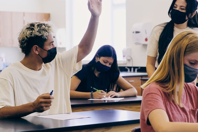 A photo of a student raising his hand in class white a professor looks on