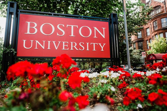 Photo of a red Boston University sign with red and white flowers in the foreground.