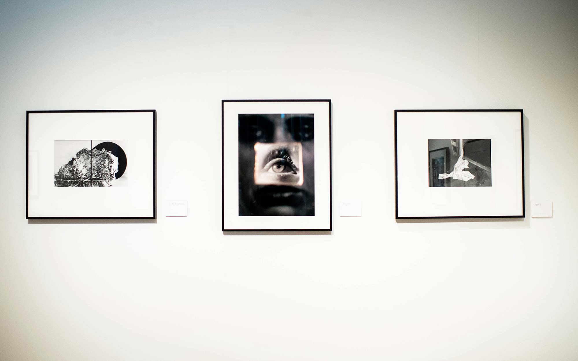 Three photographs from the A Yellow Rose Project exhibit hang on the wall at Stone Gallery, Boston University College of Fine Arts.