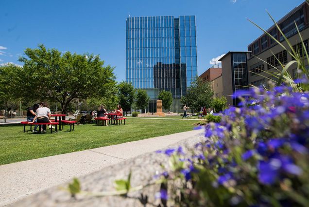 Photo of The COM green on June 17 looking towards the Kilachand building. Purple flowers are seen in the right foreground, and people seated at the red outdoor tables are seen at left.