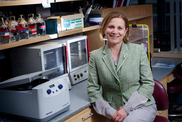 Katya Ravid, cardiovascular and disease expert, sitting in her lab at Boston University School of Medicine.