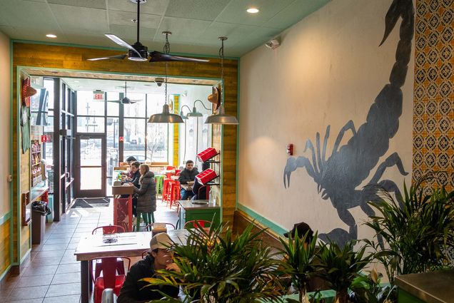 Photo of the interior of El Jefe’s at 957 Comm Ave. A few people sit at the small wooden tables with colorful chairs. On the wall, a giant black scorpion is painted. There are some small plants in the foreground.