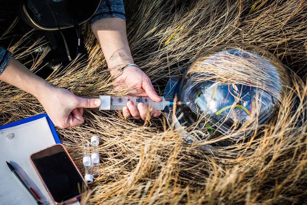 Closeup photo of one of the sensors in the marsh. The researcher uses what looks like a syringe to adjust the sensor which is covered with grass.