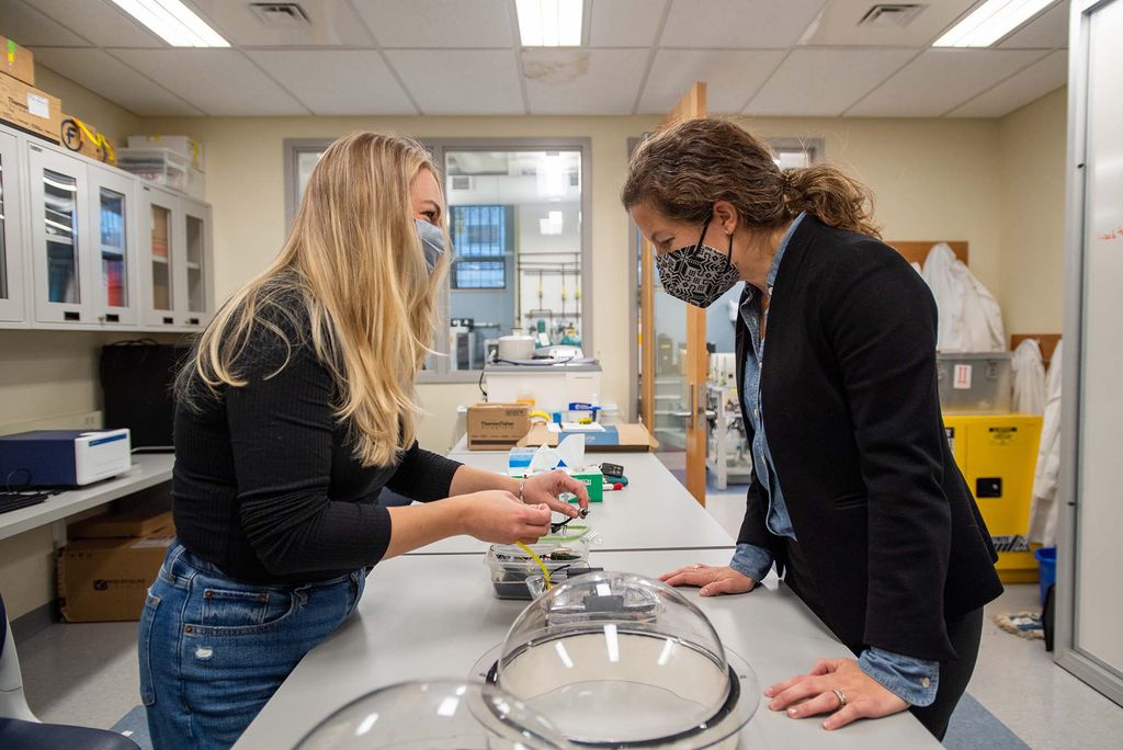 Photo of Post doc Amanda Vieillard (CAS’11, GRS’13), left, with Professor Wally Fulweiler in Fulweiler’s lab for the blue carbon video. Vieillard has long blonde hair, wears a black shirt and jeans as she holds a part of the sensor and speaks to Professor Fulweiler. Prof. wears a black blazer and looks at the sensor part. Both women appear to be smiling underneath their masks.