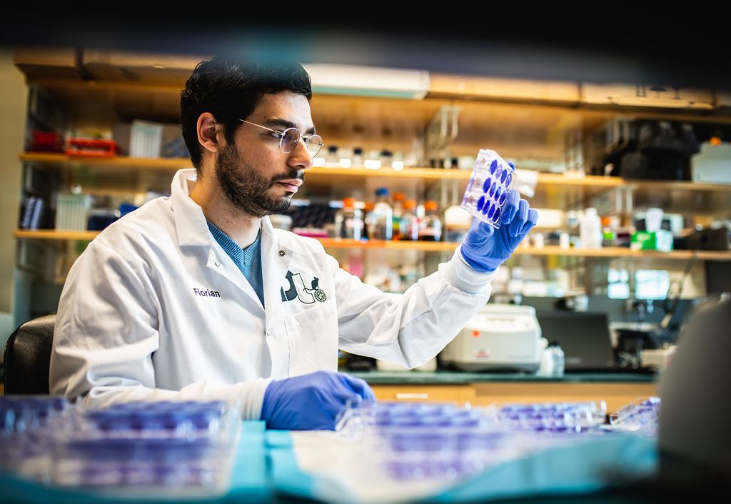 Photo of Florian Douam, assistant professor, as he poses for a photo at National Emerging Infectious Diseases Laboratories on April 25, 2022. Douam inspects a few purple topped test tubes and wears a white lab coat. View of him is from overtop a set of test tubes with light purple tops. Blurry lab shelves can be seen in the background.