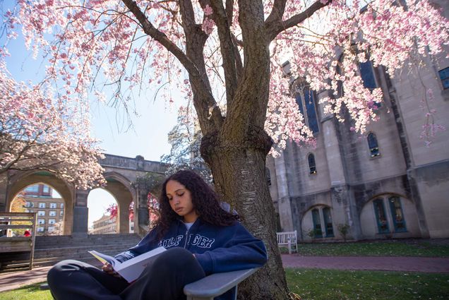 Photo of Amya Liburd (CAS’24), a brown-skinned woman with long, curly brown hair wearing a blue sweatshirt, and sitting in a gray lawn chair as she reads for her Women’s American History course on BU Beach April 20 under a cherry blossom tree in bloom. The tree has small pink and white flowers. The arches in Marsh Plaza are seen behind her.