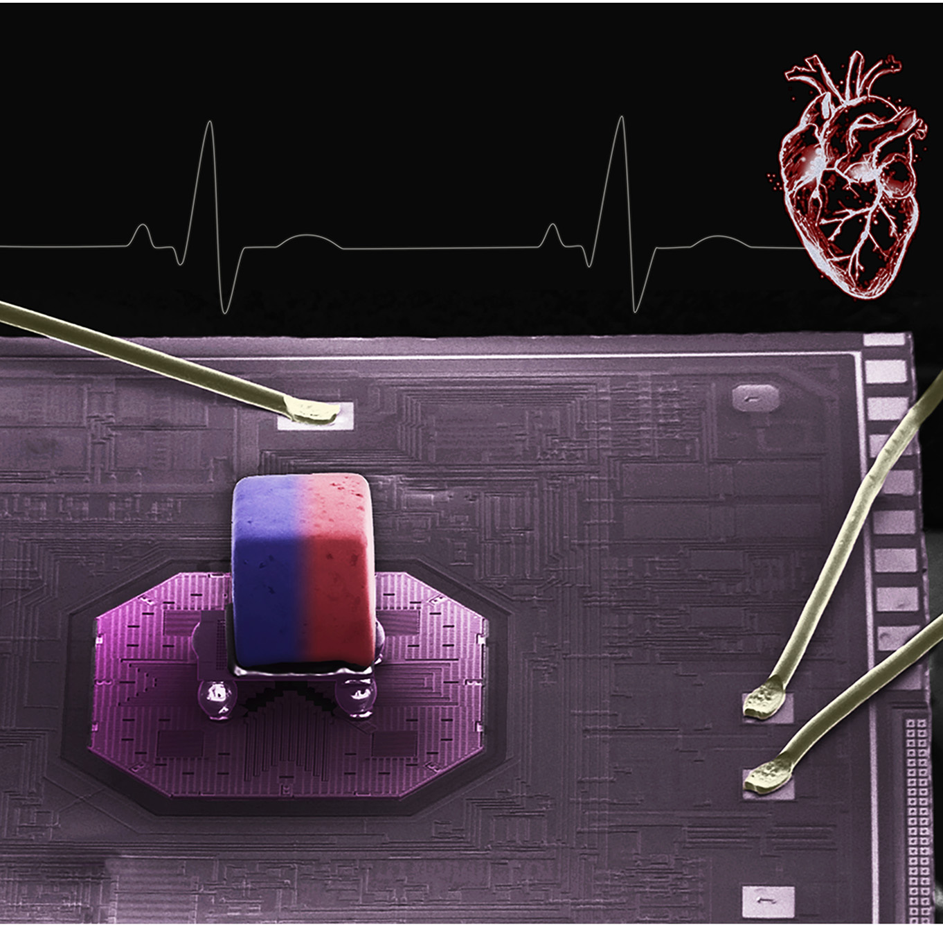 Photo: colored scanning electron microscope (SEM) image of our first sensor, where a micromagnet sits on a series of assembled micro-objects and on top of a silicon semiconductor platform. A heart reading and line heart drawing is seen on the right, as a blue and red cube sits on a platform.