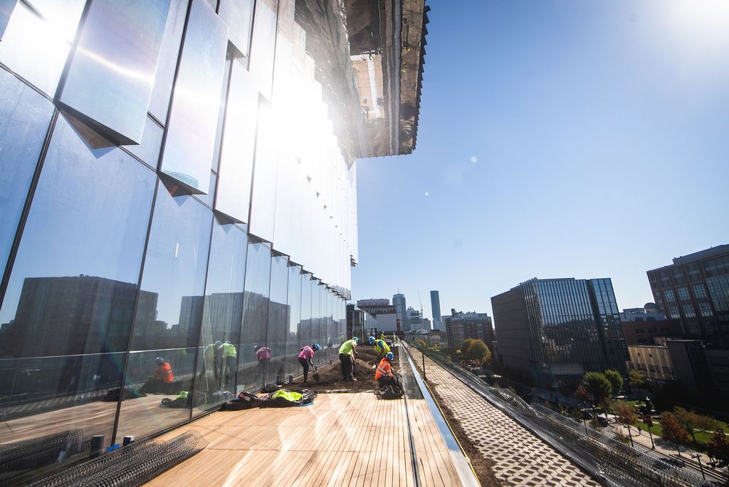 Photo: Workers lay dirt out onto a wooden deck under construction. The mirrored side of the building on the left of them reflects the sunlight brightly and a distant cityscape of Boston can be see in the background.