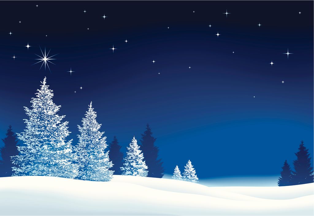 A winter landscape at night, with white snow and dark purple sky