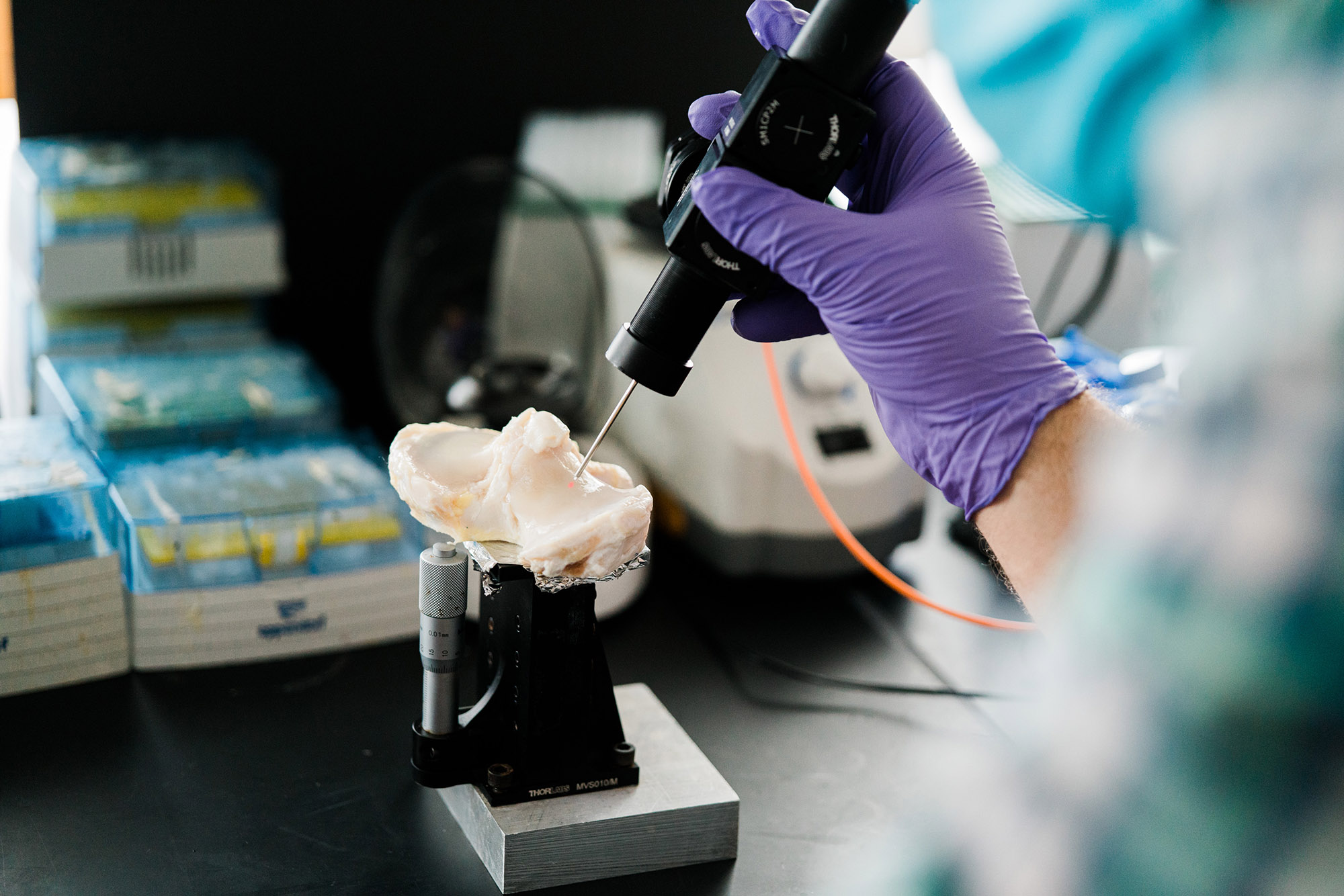 Photo: Close-up look at the Raman needle probe on an excised bovine cartilage specimen. A purple gloved hand holds a black sensor stick as it pokes at a tan ligament held up on a lab table.