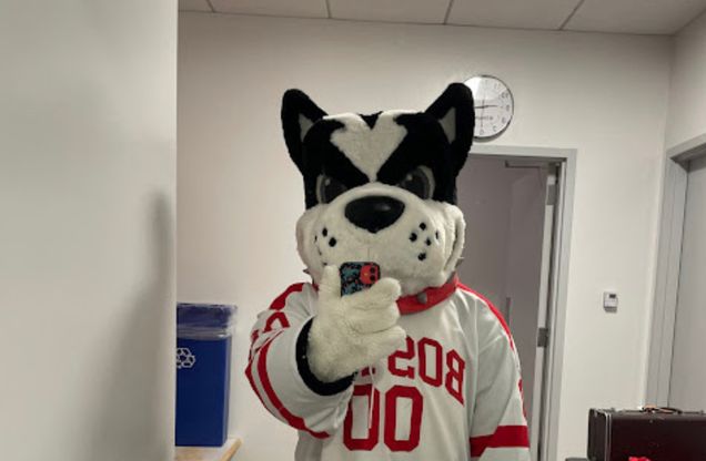 This is a photo from Abigail Wood and she is in Boston University's Rhett mascot costume. In the costume and in front of a mirror, she has her phone up towards the mirror taking a selfie. The walls are white and there are two doors behind Rhett.
