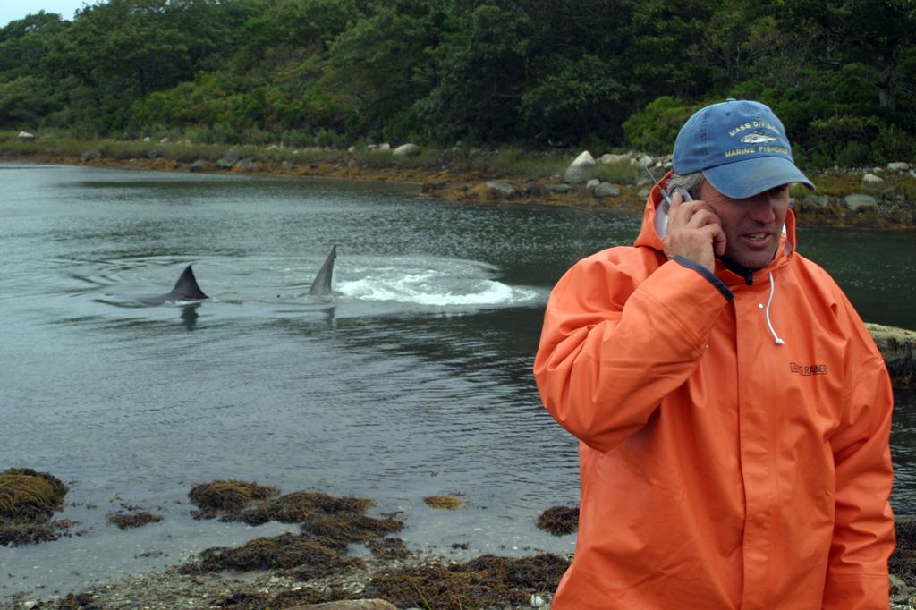Photo: Greg Skomal, a white man wearing an orange raincoat and blue cap, is shown on his cellphone looking away from a large body of water. Behind him, two shark fins can be seen popping up above the water.