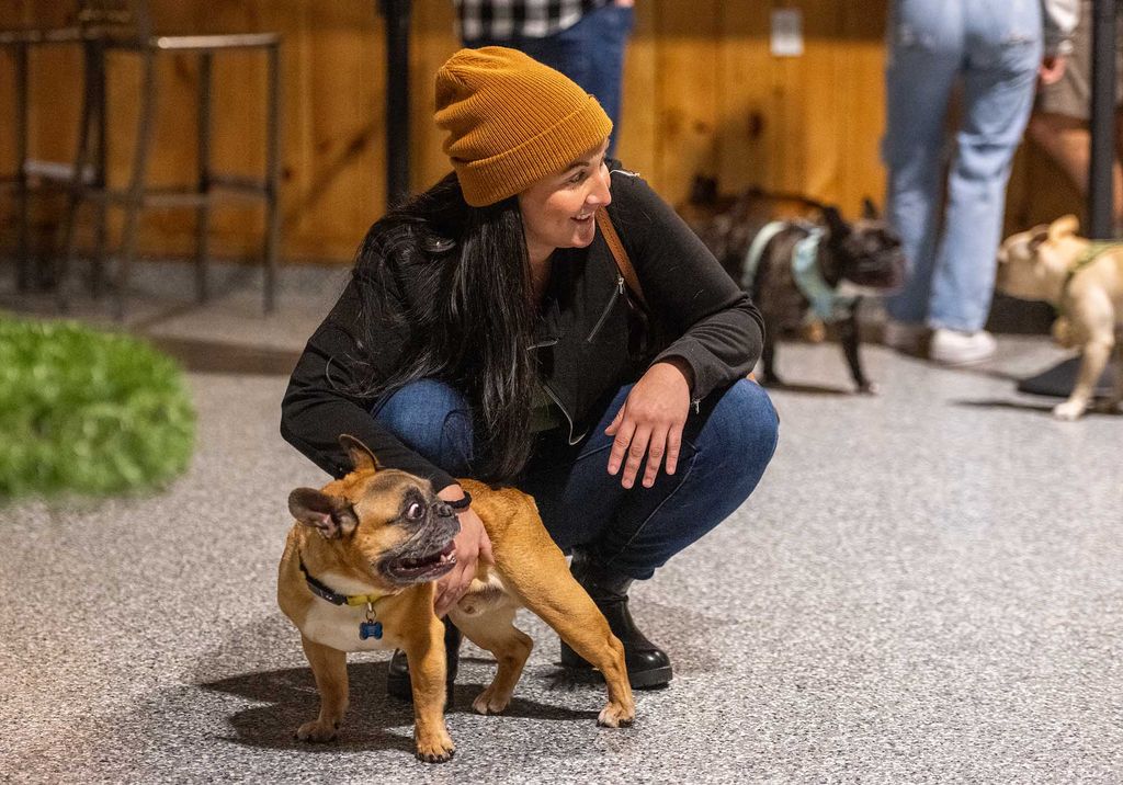 Photo: An excited brown French Bulldog is shown being pet by his owner. A young woman wearing a black jacket and burnt yellow cap crouches down and pets her dog.
