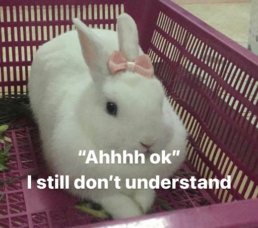 This is a photo of a white rabbit with a pink bow on its head inside of a grocery basket. The photo has white text over it that reads "Ahhh ok. I still don't understand"