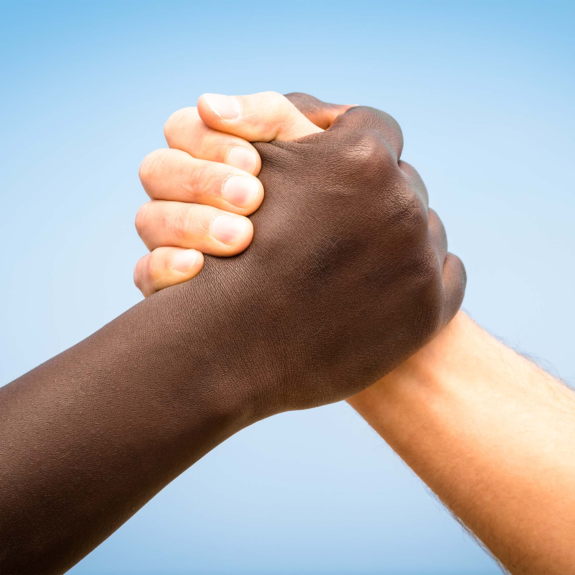 Photo: A black and white hand grasp each other in a show of friendship