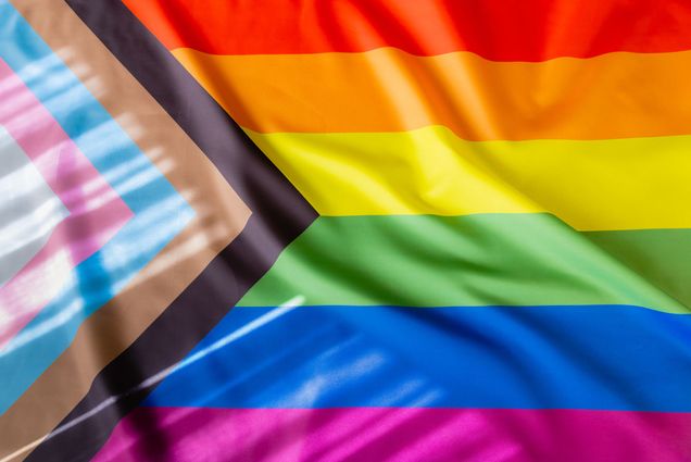 Photo: A picture of a pride flag with many vibrant colors