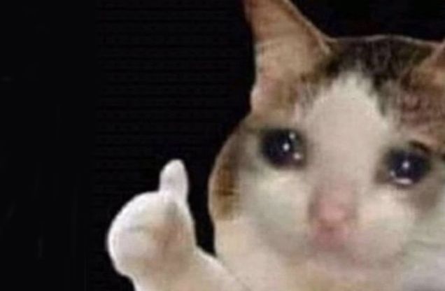 A photo of a cat crying with a thumbs up. The background is all black.