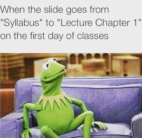 A meme of Kermit the frog sitting on a couch looking sideways. The caption reads "when the slide goes from syllabus to lecture chapter 1 on the first day of classes.