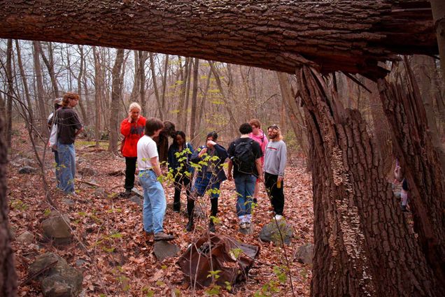 Photo: A picture of members of Boston University's Bug Club in the woods.
