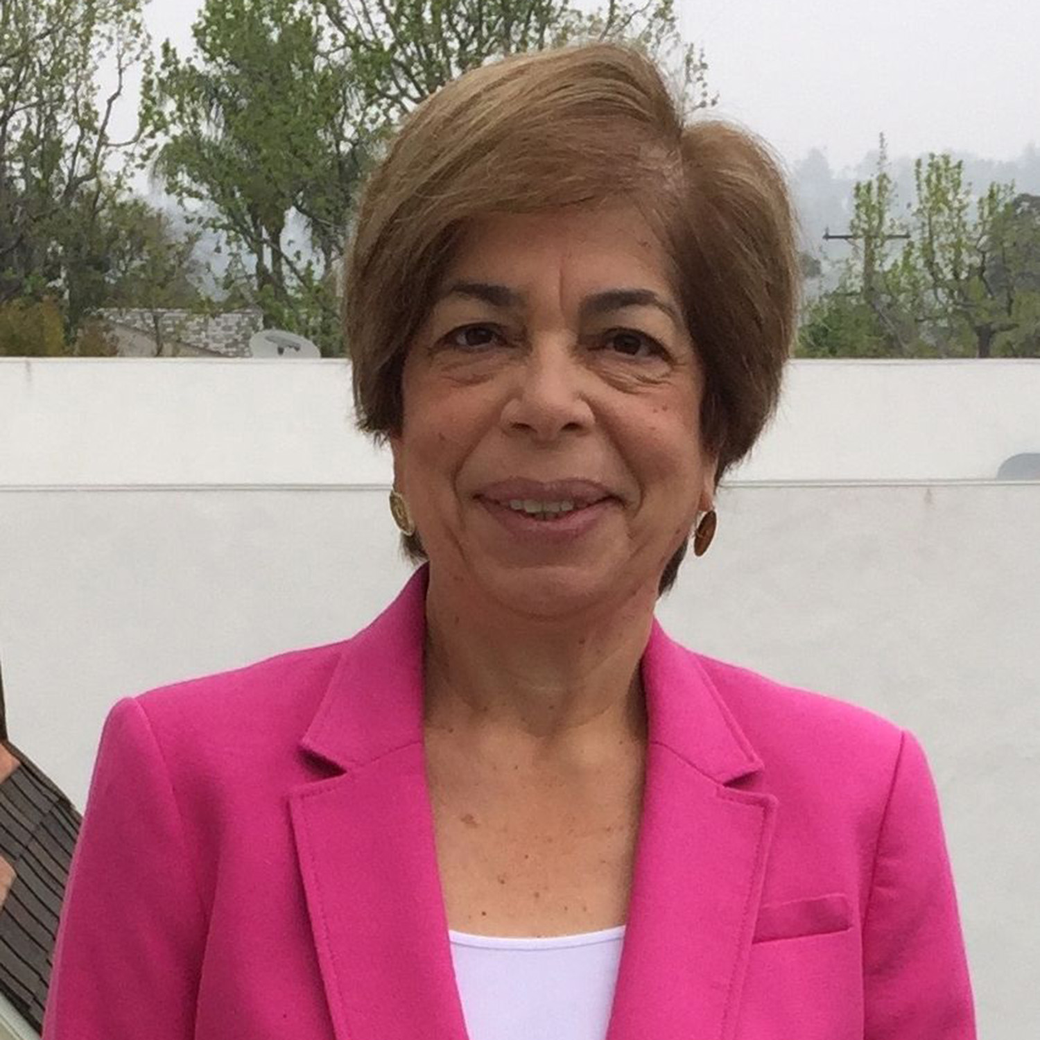 Photo: A picture of Debbie Gendler posingwhile wearing a pink blazer