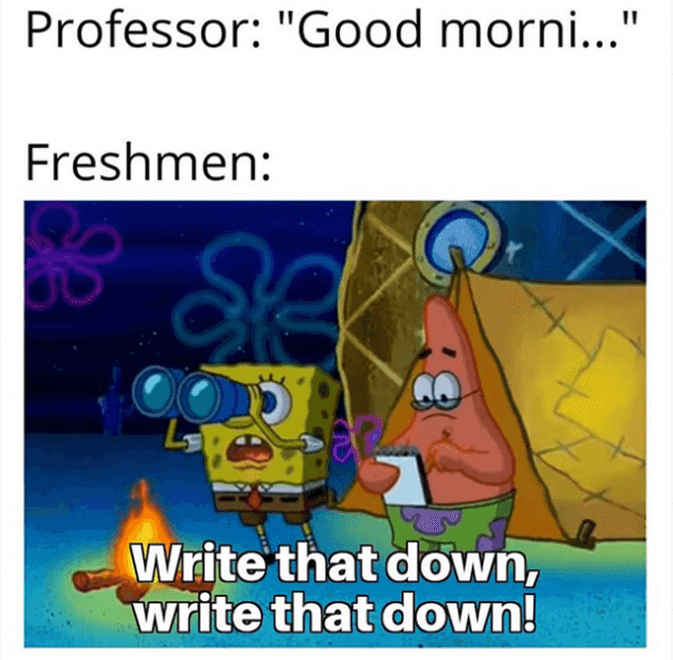 A meme of spongebob and patrick where spongebob is looking into binoculars and patrick is writing things down a paper. On the photo, it reads "Write that down, write that down!". The meme reads "professor: '"Good morn..."' and freshman:"