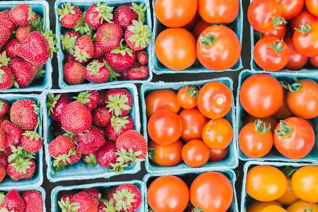 Photo: A stock image of strawberries and tomatoes in blue to-go containers.