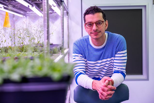 Photo: A man wearing glasses and a blue-and-white striped sweater is standing in a laboratory or greenhouse setting, leaning slightly forward and smiling. Behind him are shelves with plants growing under artificial lights, suggesting a controlled environment for scientific research or cultivation. The atmosphere is well-lit with a focus on plant growth, and the man appears to be involved in plant science or biology-related work.
