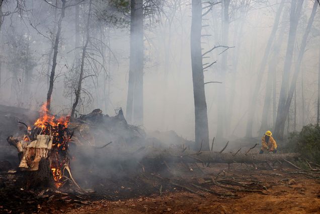 Photo: Flames and smoke flooding the Boxford State Forest during a brush fire as a firefighter uses a chainsaw to cut up and clear a tree
