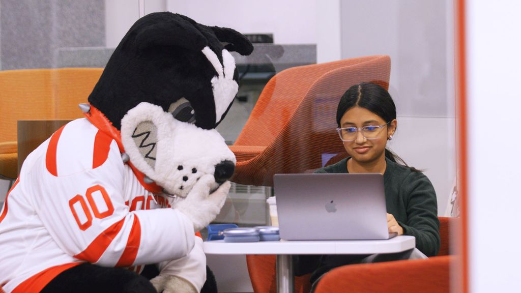 Photo: Boston University's mascot Rhett, a Boston terrier, and a female student sitting next to one another at a table and looking at a laptop