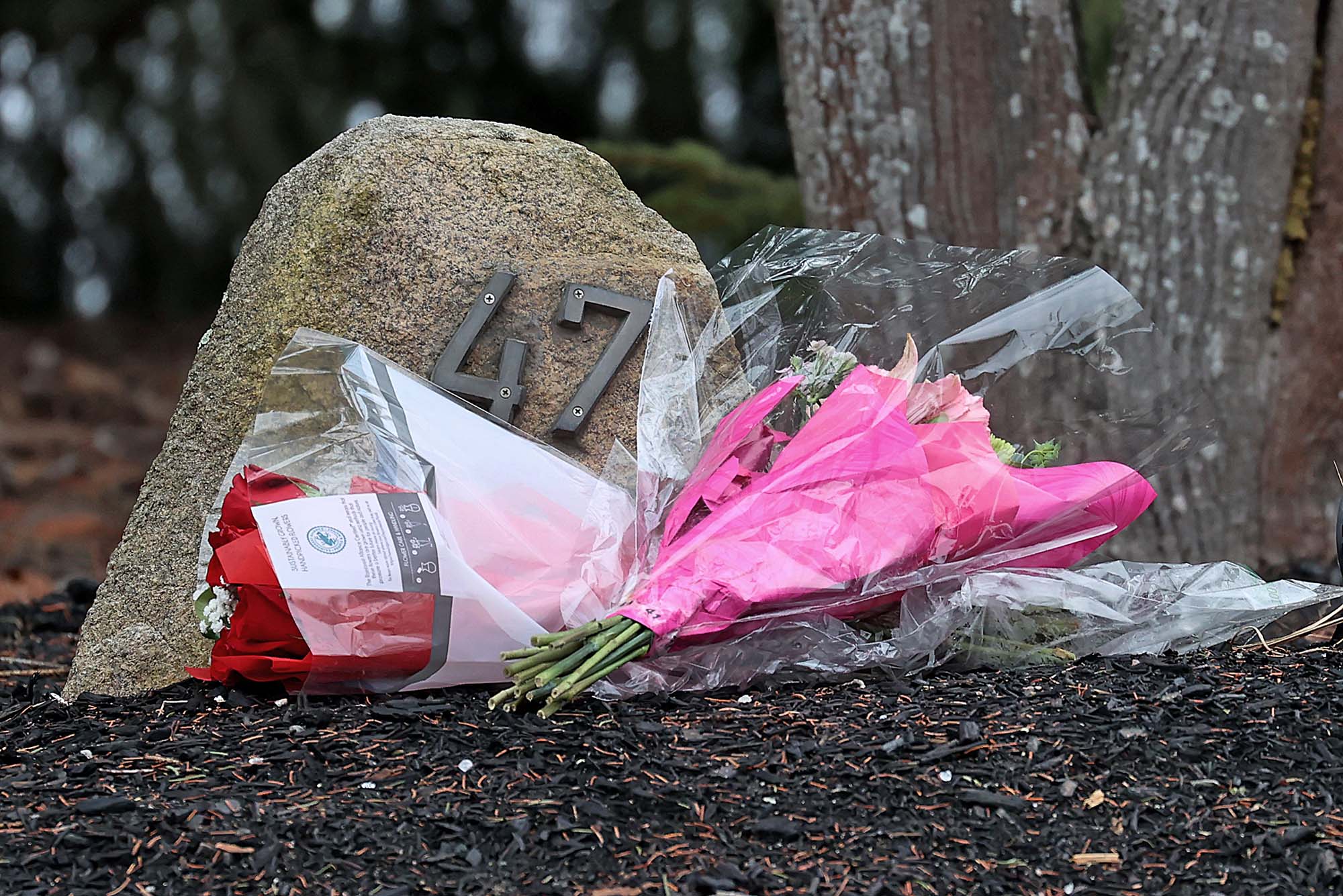 Photo: In the center of the photo, a bouquet of flowers wrapped in plastic and pink paper. They are laying on a dirt ground and are in front of a stone with the number 47 in metal on it. Behind the rock, there is a tree trunk to the right of the photo.