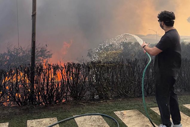 Photo: A person with a hose attempts to snuff out a steady fire in a bush.