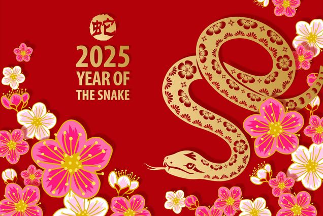 Photo: A Lunar New Year poster with red background, snake illustration, and text reading "2025 Year of the snake"