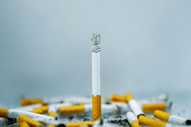 Photo: A cigarette standing in the middle of a photo with other cigarettes littered around it