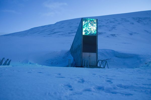 Photo: An exterior shot of the Svalbard Global Seed Vault. The building is peeking out of from a snowy mountain