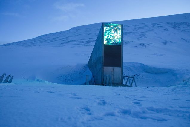 Photo: An exterior shot of the Svalbard Global Seed Vault. The building is peeking out of from a snowy mountain