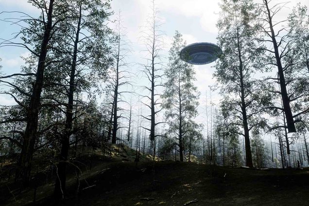 Photo: A wooded area with an eerie aura, a UFO hovers in the air on the right side.