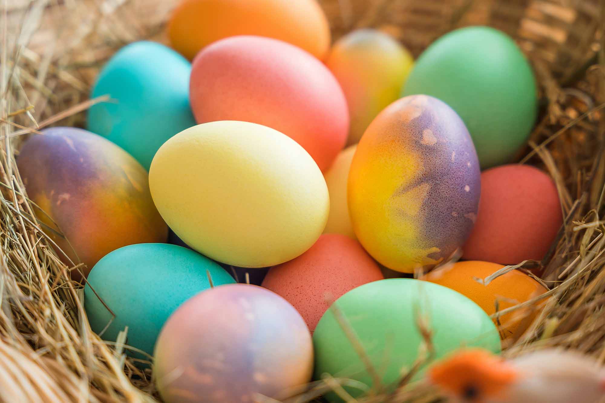 Photo: A basket of colorful dyed eggs.